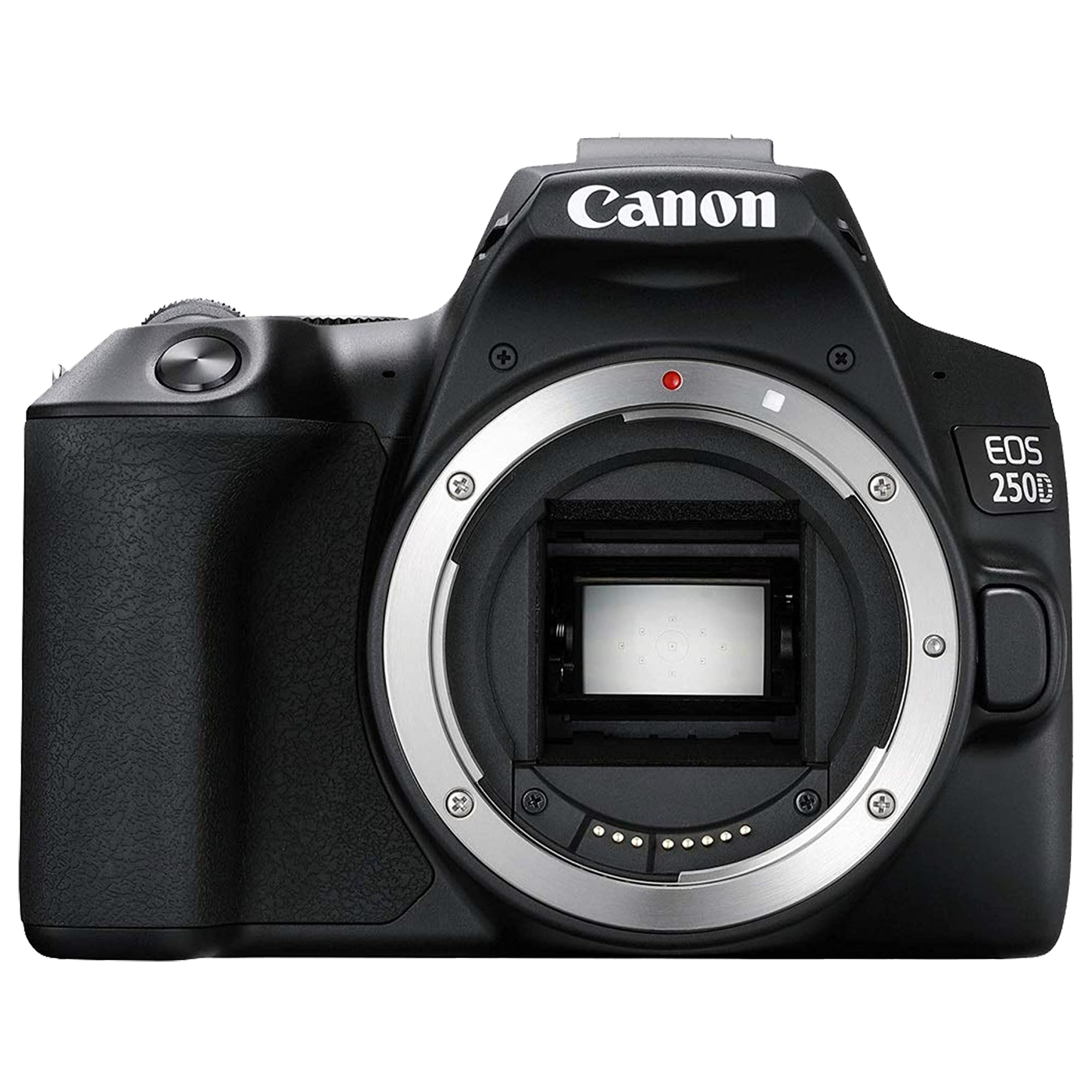 Amazon.com : Canon EOS 250D (Rebel SL3) DSLR Camera with EF